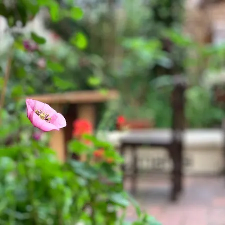 Hostal Yakumama-3